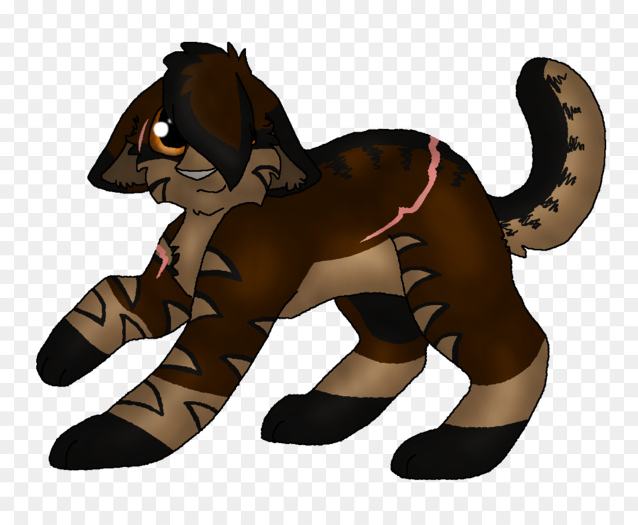 Gato，Cavalo PNG