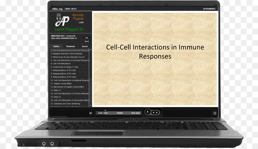 Imunologia，Antigen PNG