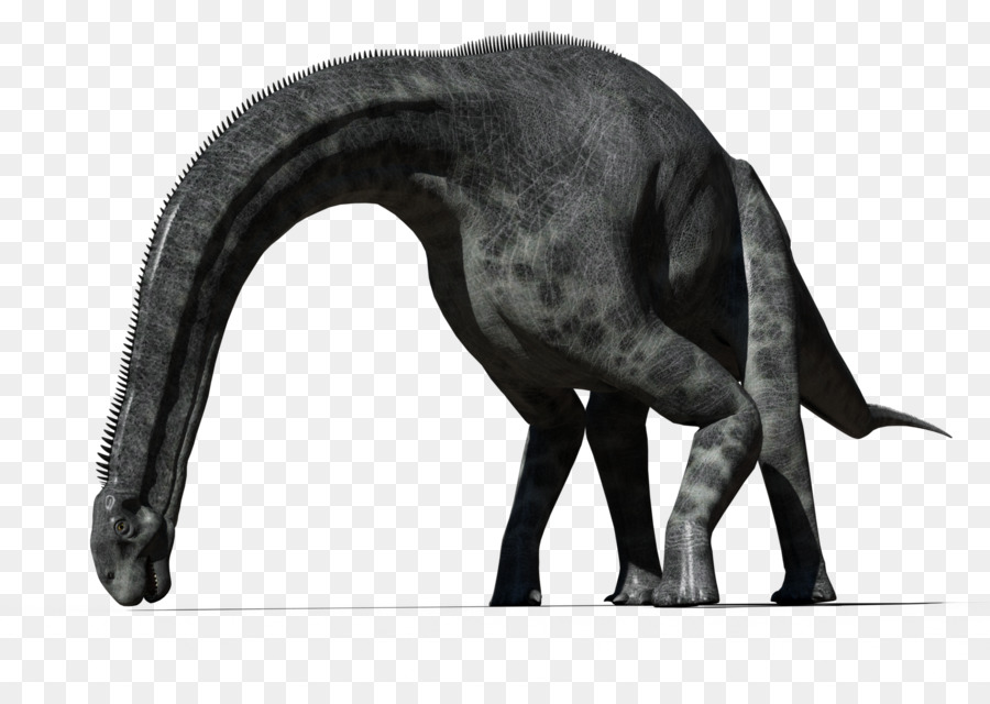 Cetiosaurus，Dinossauro PNG