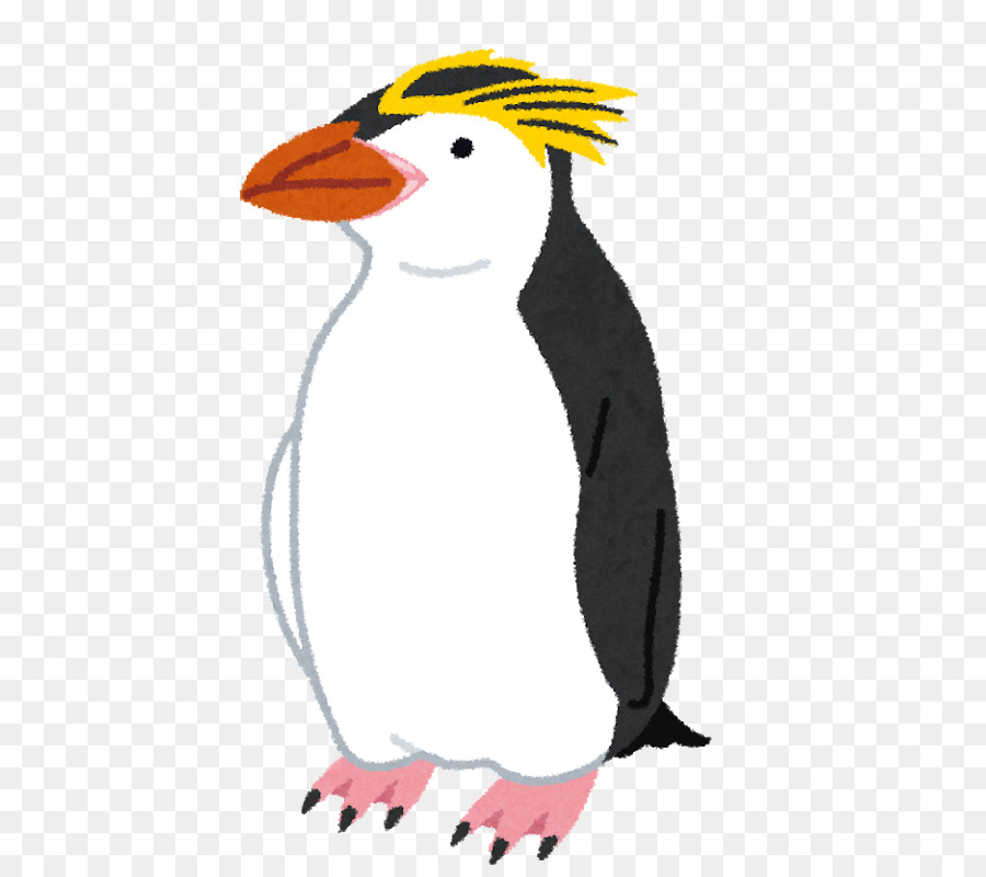 Pinguim，Pássaro PNG