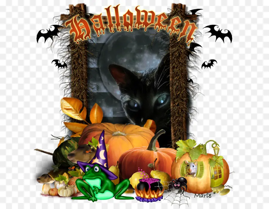 Gato De Halloween，Abóboras PNG