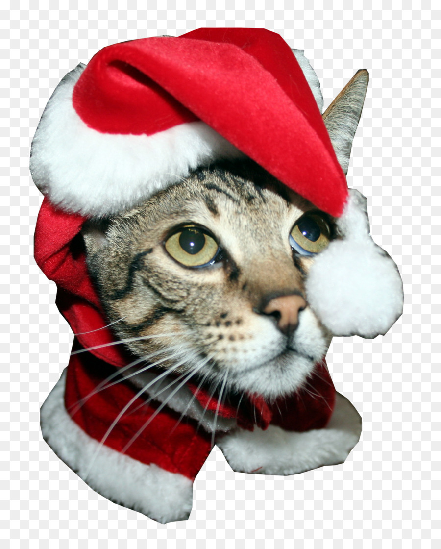 Papai Noel，Bigodes PNG