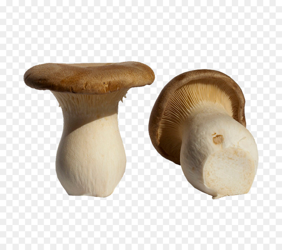 Pleurotus Eryngii，Boletus Edulis PNG