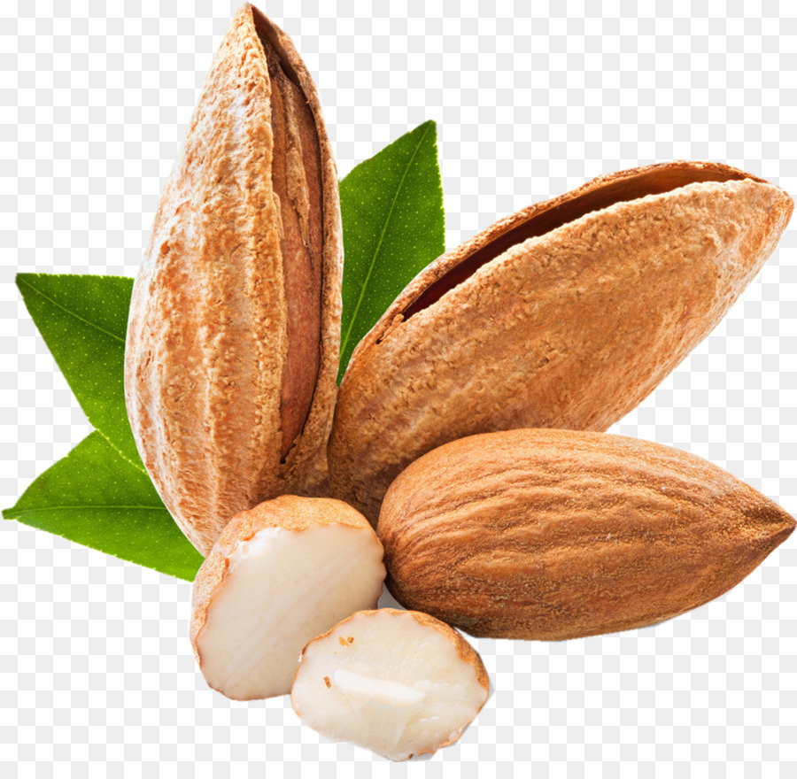 Amêndoa，Apricot Kernel PNG