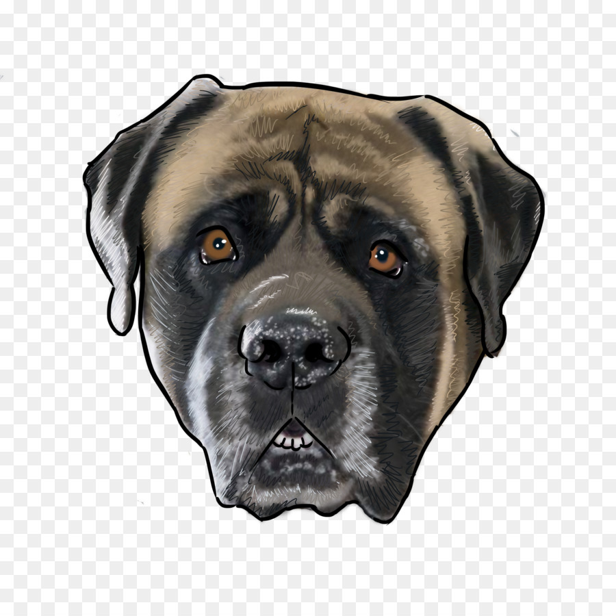 Raça Do Cão，Mastiff Inglês PNG