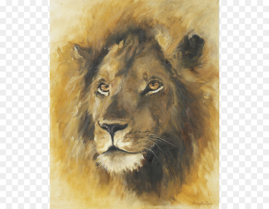 East African Lion，Bigodes PNG