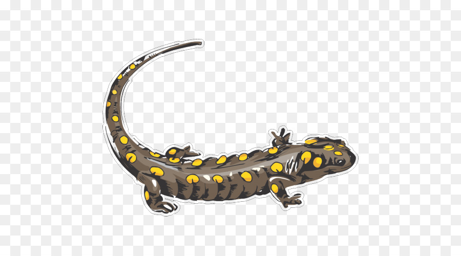 Newt，Adesivo PNG