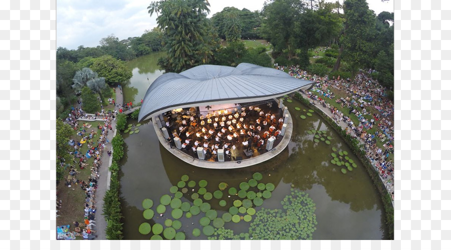 Propriedade，árvore PNG