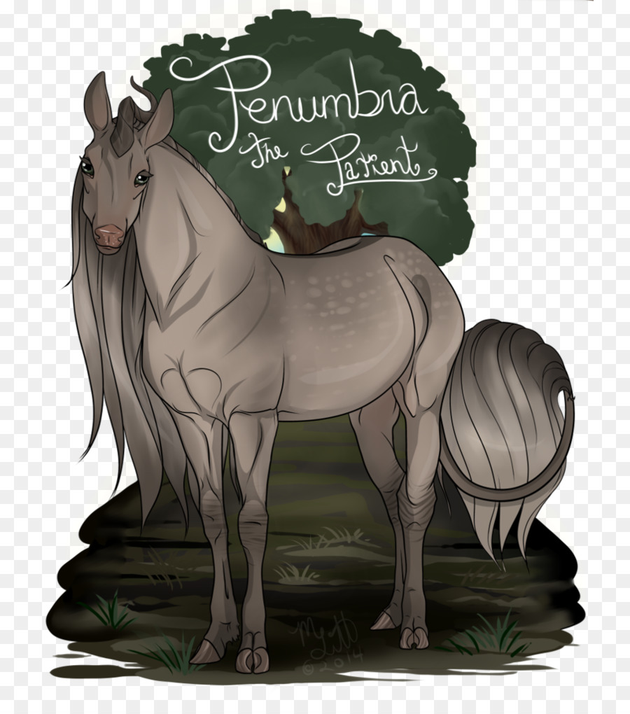 Ilustração De Cavalo，Cavalo PNG