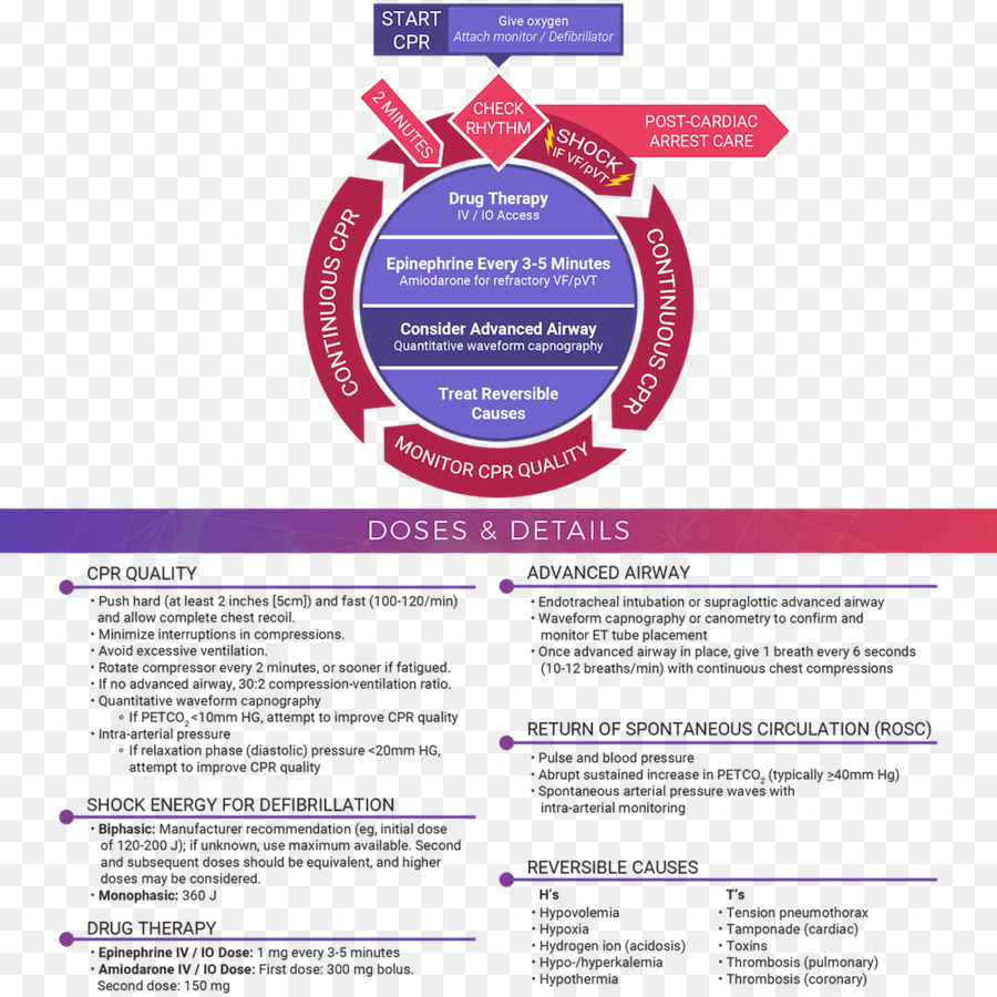 Suporte Avançado De Vida Em Cardiologia，Algoritmo PNG