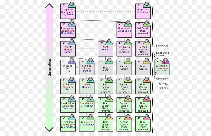 Árvore Genealógica，Genealogia PNG