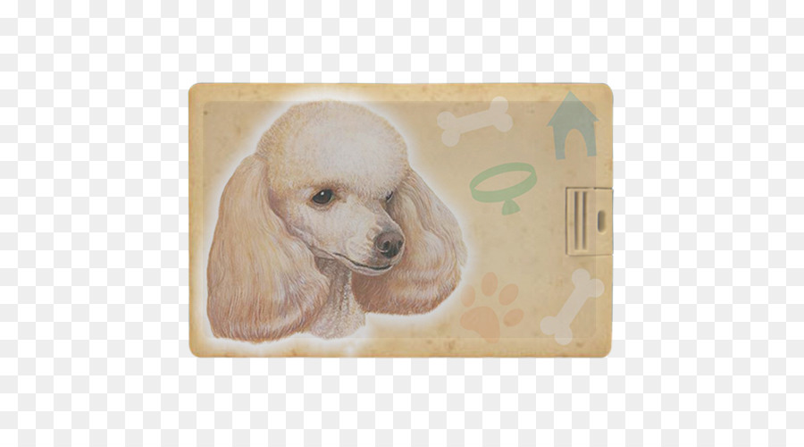 Poodle Miniatura，Toy Poodle PNG