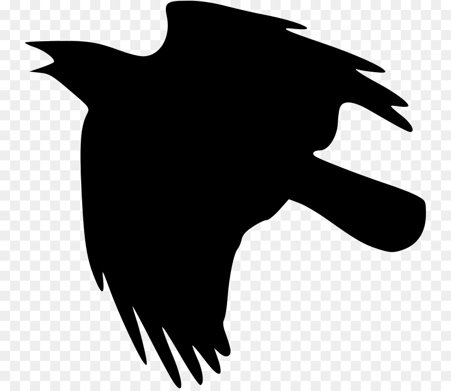 Crow，Crow Família PNG