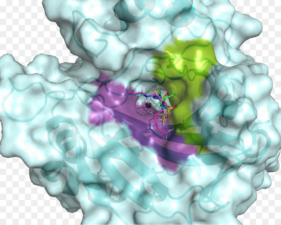 Bioquímica，Hydrophobe PNG