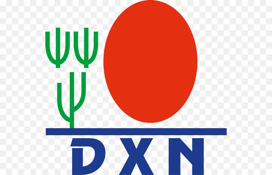 Dxn，Lingzhi Cogumelo PNG