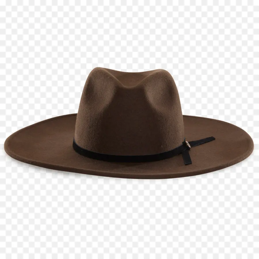 Fedora，Chapéu PNG