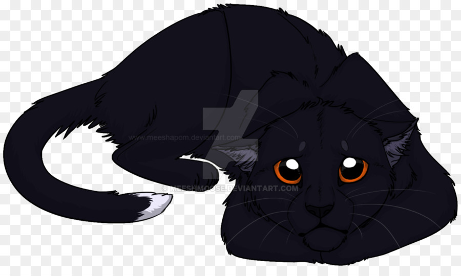 Gato，Into The Wild PNG