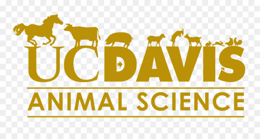 Cavalo，Uc Davis Departamento De Ciência Animal PNG