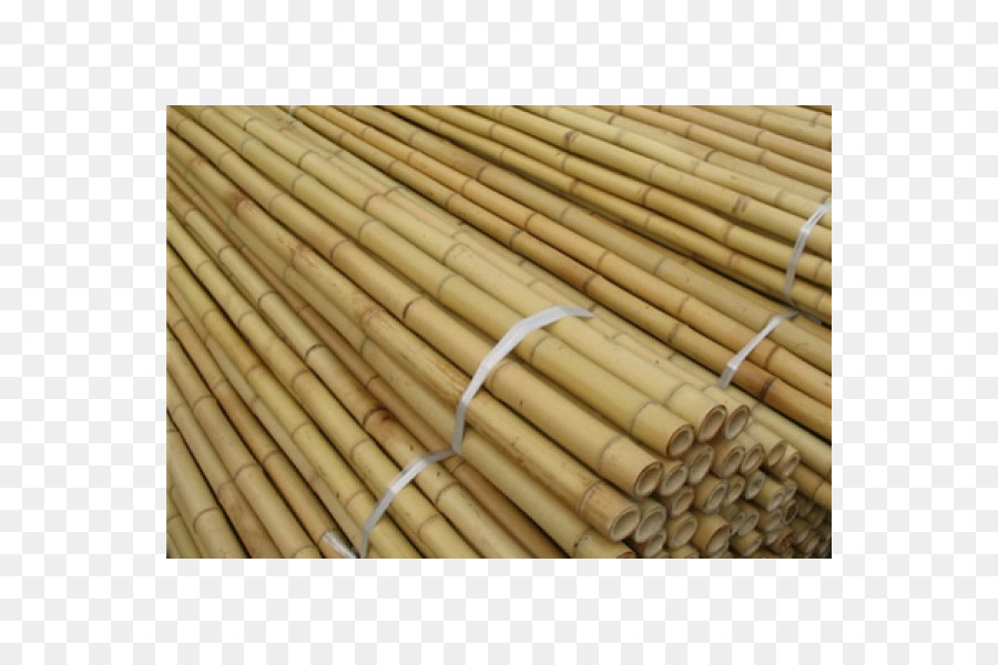 Bambu，Material PNG