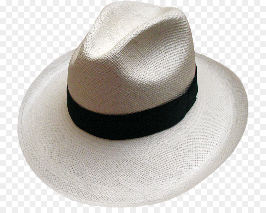 Fedora，Chapéu PNG