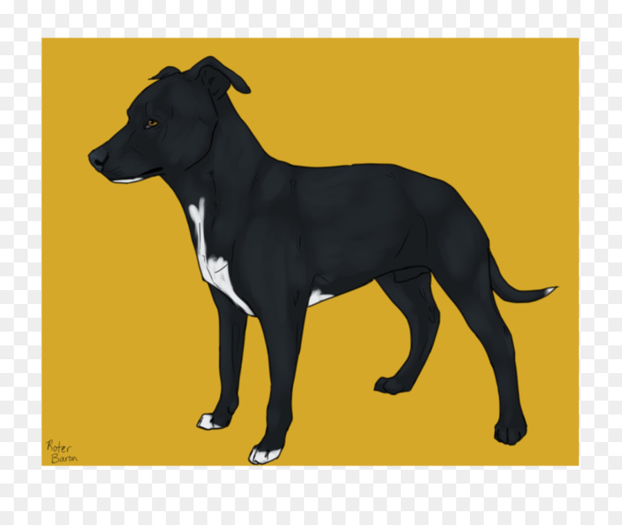 Lurcher，Italian Greyhound PNG