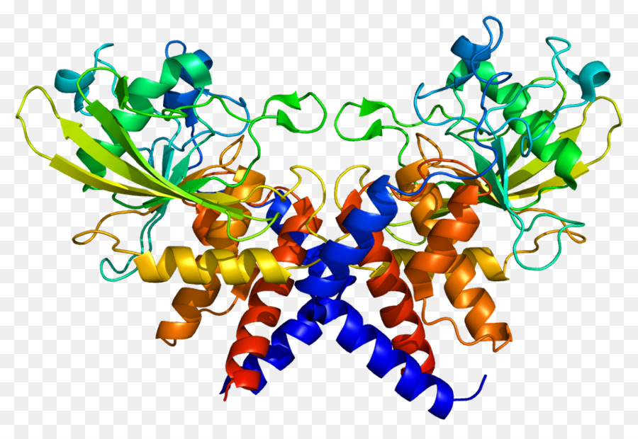 A Replicação De Uma Proteína，Replicação De Proteína A3 PNG