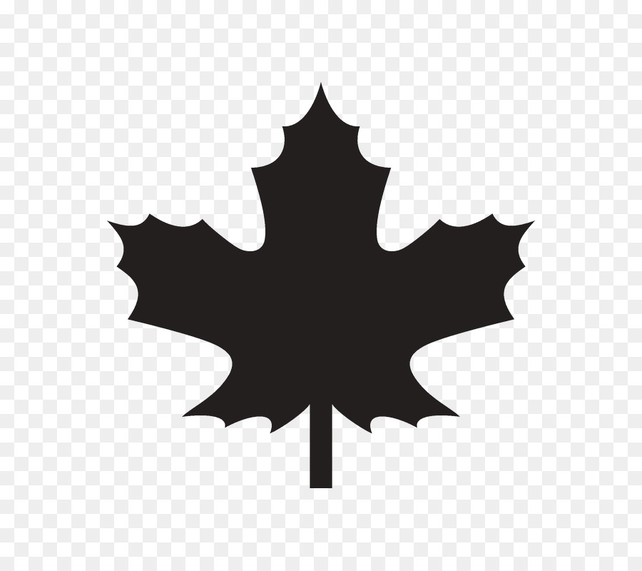 Maple Leaf，Folha PNG