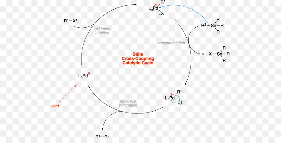 Ciclo Químico，Reação PNG