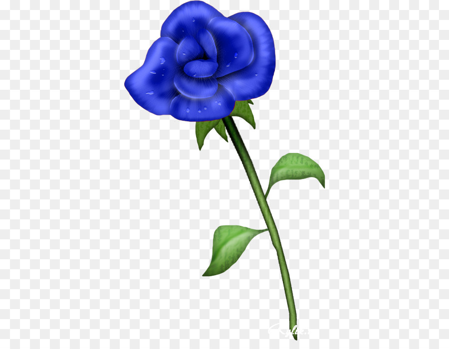 Rosa Azul，Florescer PNG