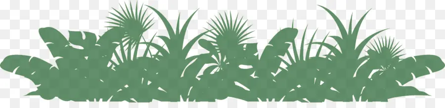 Plantas Tropicais，Folhas PNG