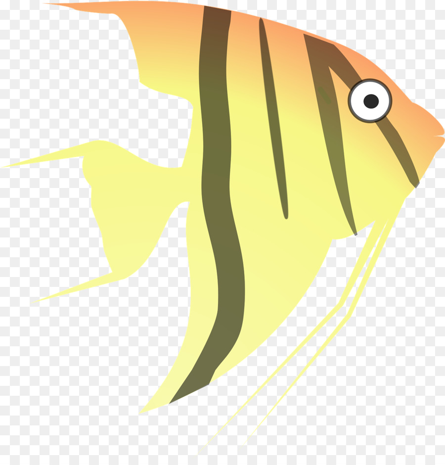 Angelfish，Desenho PNG
