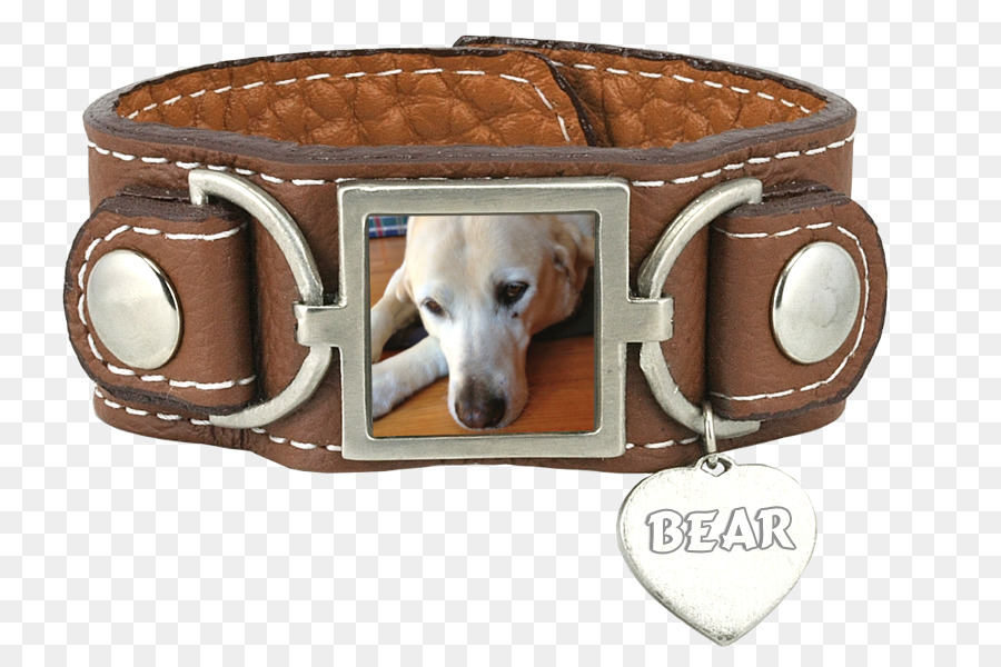 Cachorro，Belt PNG