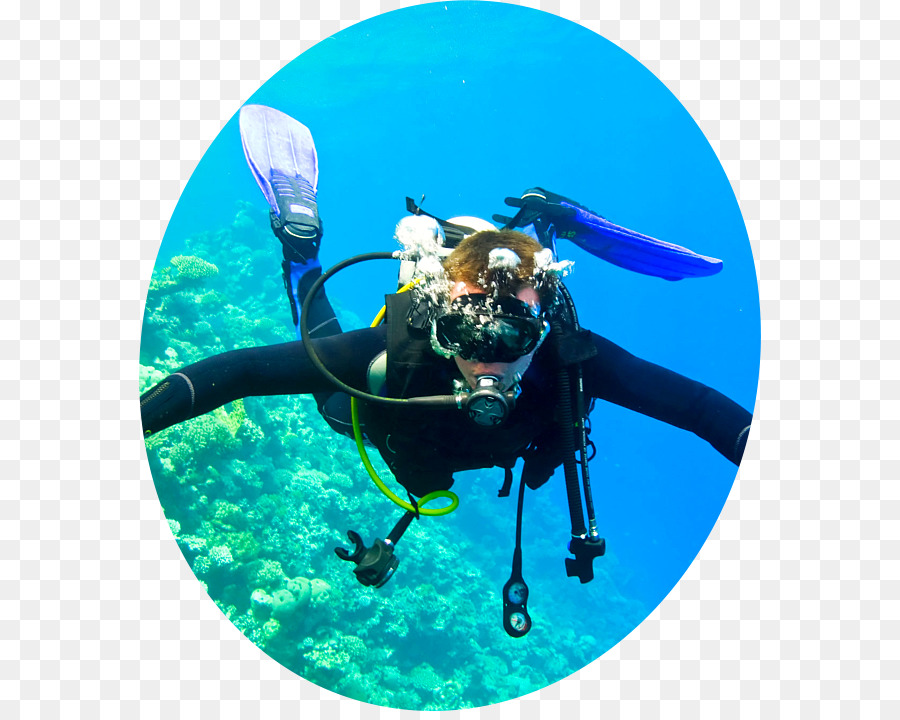 Scuba Diving，O Mergulho Submarino PNG