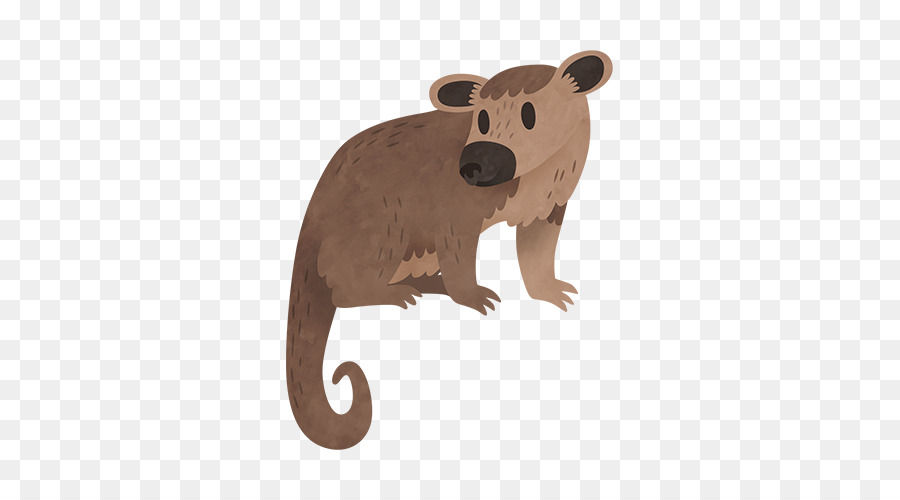 A Fauna，Marsupial PNG