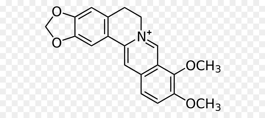 Estrutura Química，Molécula PNG