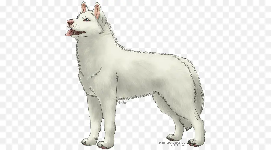 Saarloos Wolfdog，O Canadense Cão Esquimó PNG