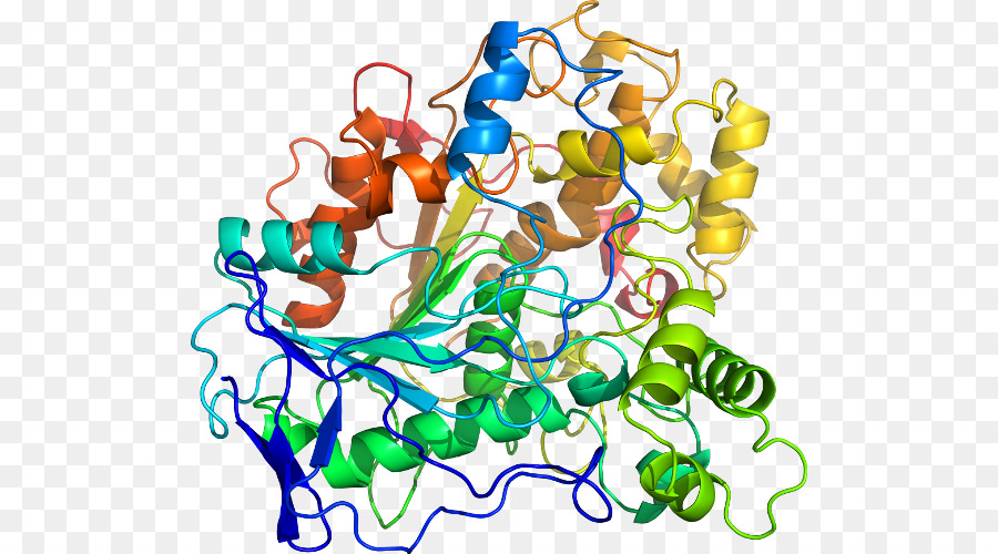 Estrutura Proteica，Biologia PNG