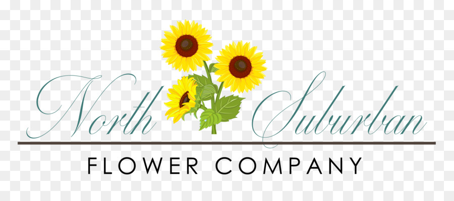 Logo，Design Floral PNG