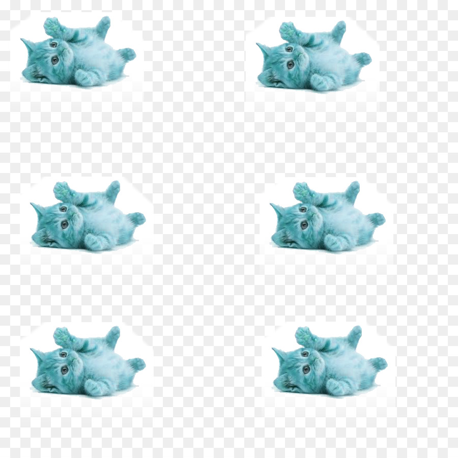 Gatinho，Turquesa PNG