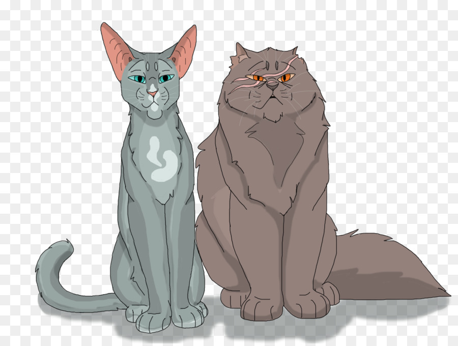 Dois Gatos，Felino PNG