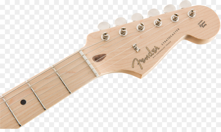 Fender Stratocaster，Pescoço PNG