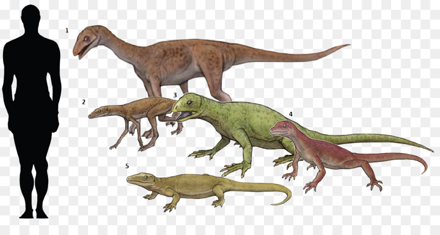 Dinossauros，Pré Histórico PNG