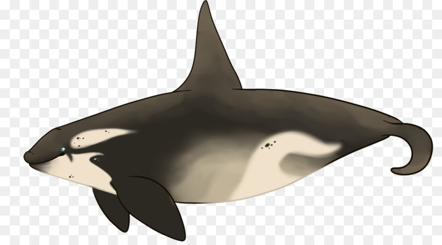 Orca，Baleia PNG