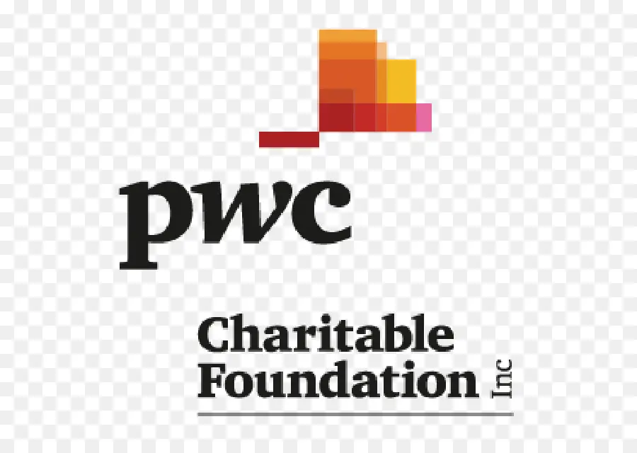 Fundação De Caridade Pwc，Caridade PNG