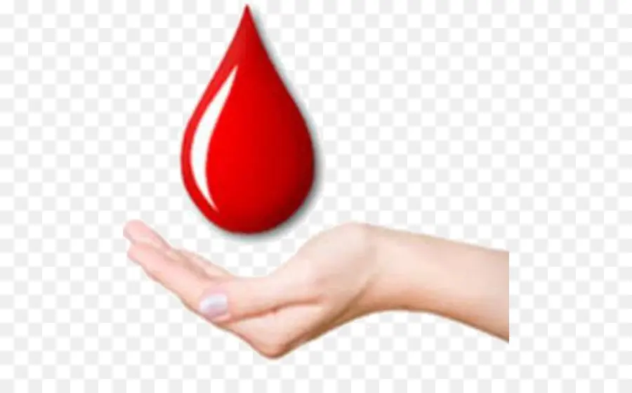 Doação De Sangue，Banco De Sangue PNG