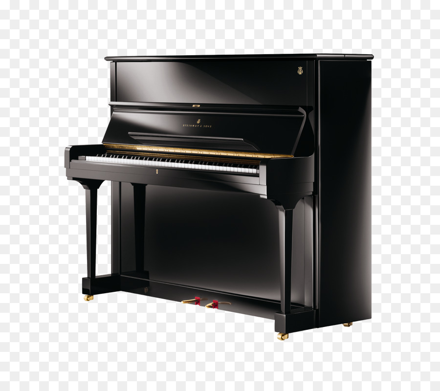 Steinway Hall，Vertegrand Steinway PNG