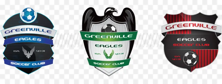 Clube De Futebol Greenville Eagles，Futebol PNG