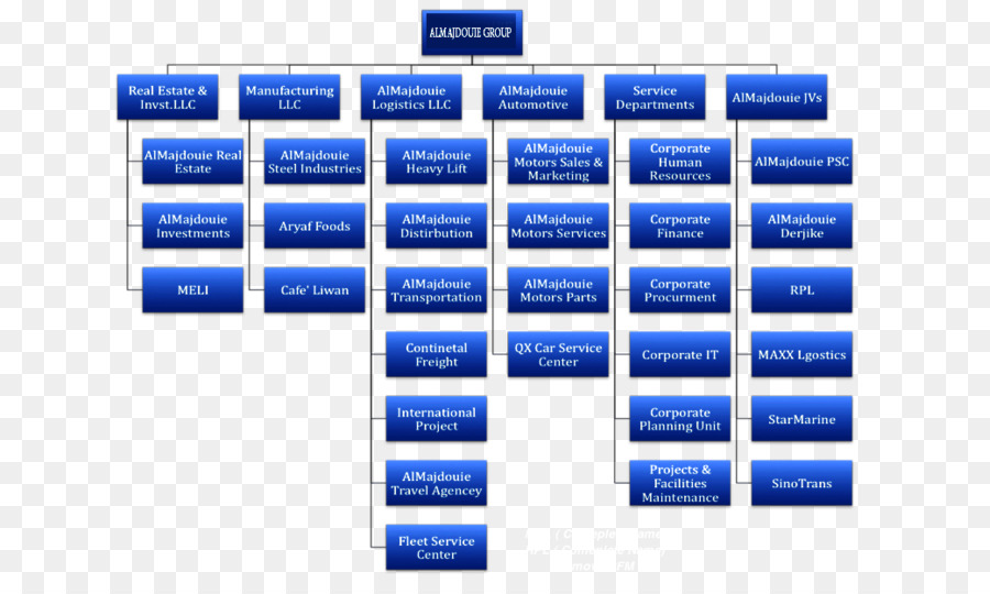 Gráfico Organizacional，Estrutura De Divisão De Trabalho PNG