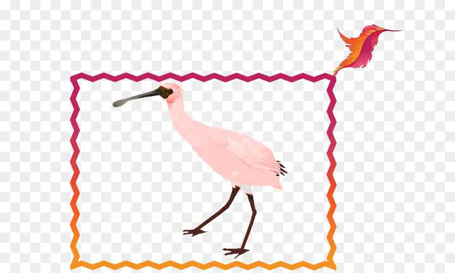 Bico，Aves PNG