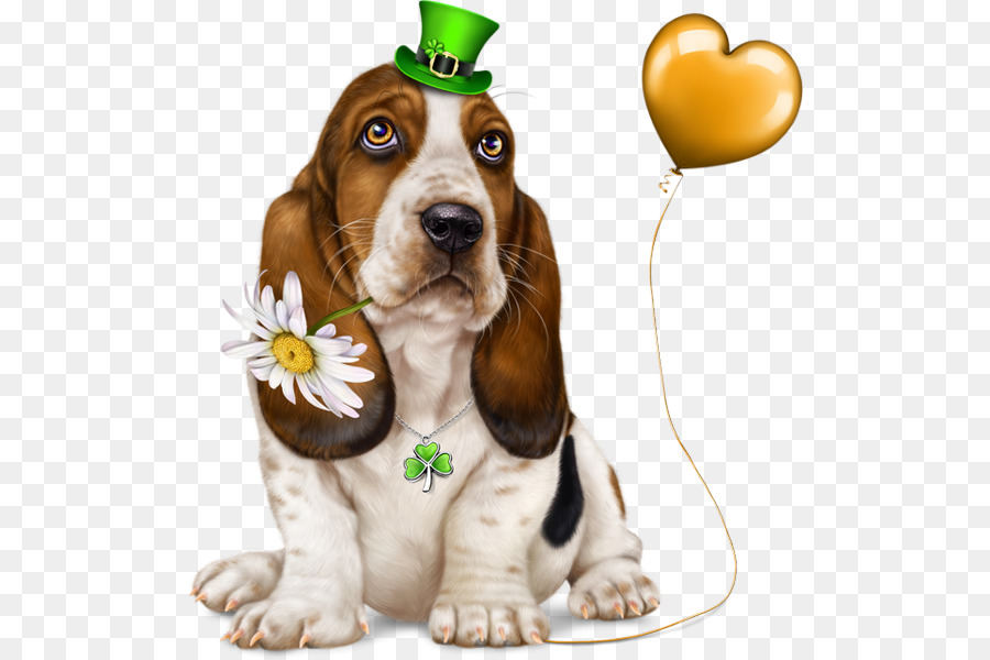 Raça Do Cão，Basset Hound PNG